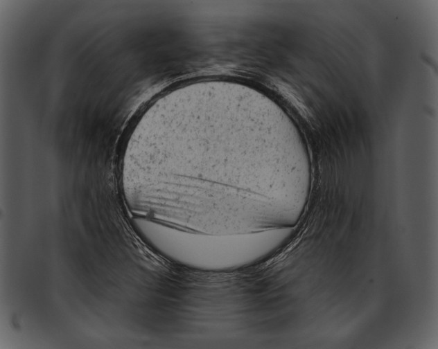 X0000096941308200802291023