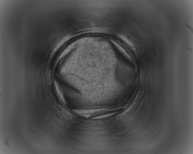 X0000096941310200802291023