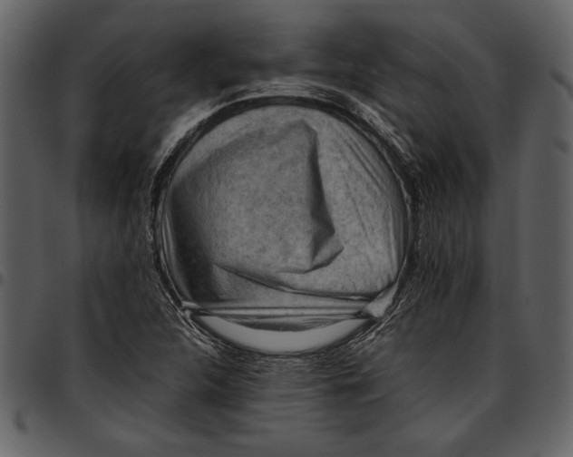 X0000096941312200802291023