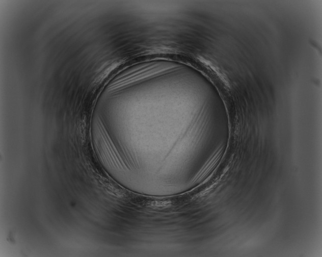 X0000096941313200802291023