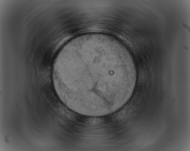 X0000096941314200802291023