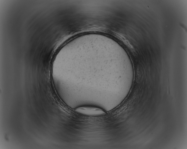 X0000096941316200802291023