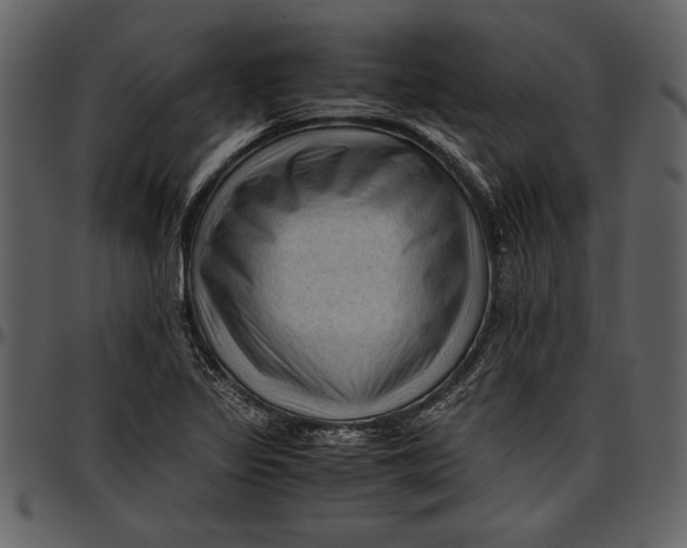 X0000096941317200802291023