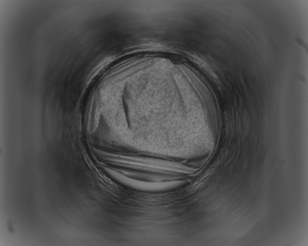 X0000096941318200802291023