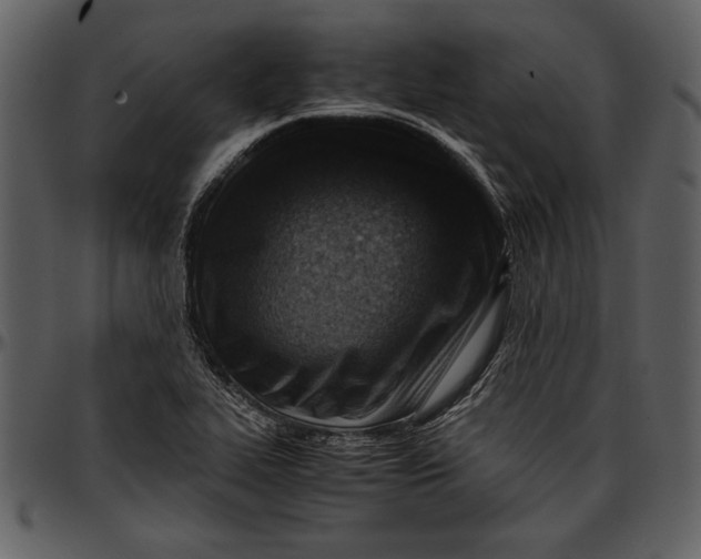 X0000096941319200802291023