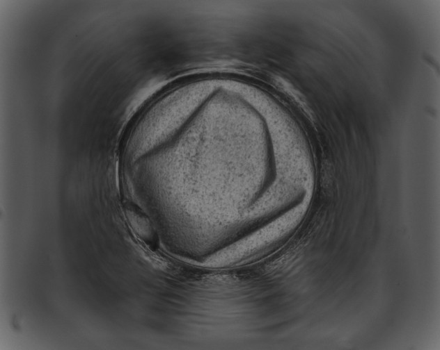 X0000096941320200802291023