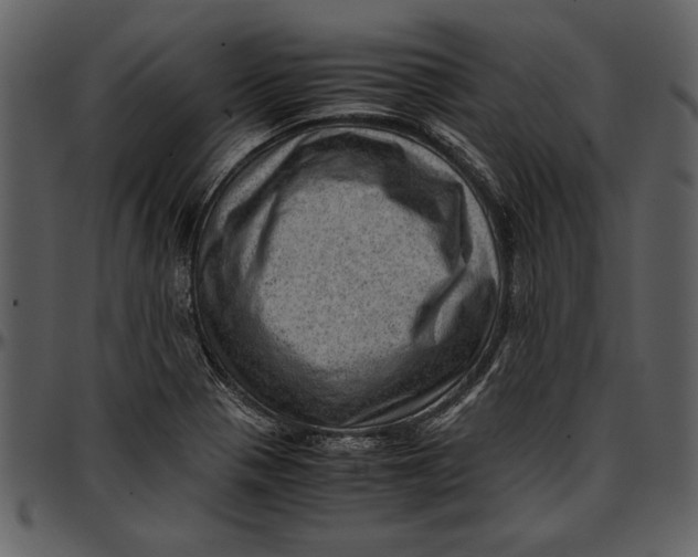 X0000096941321200802291023