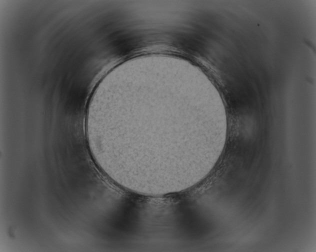 X0000096941322200802291023