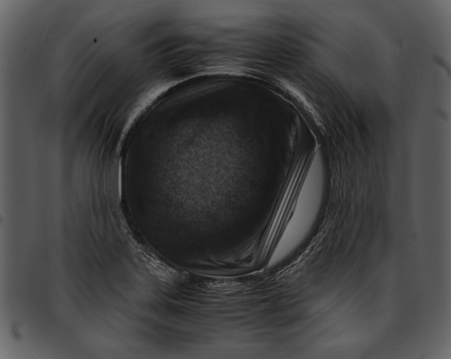 X0000096941323200802291023