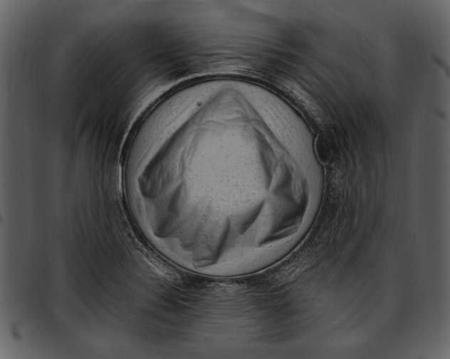 X0000096941324200802291023