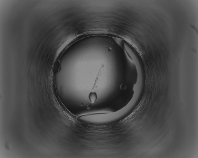 X0000096941325200802291023