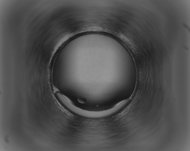 X0000096941326200802291023