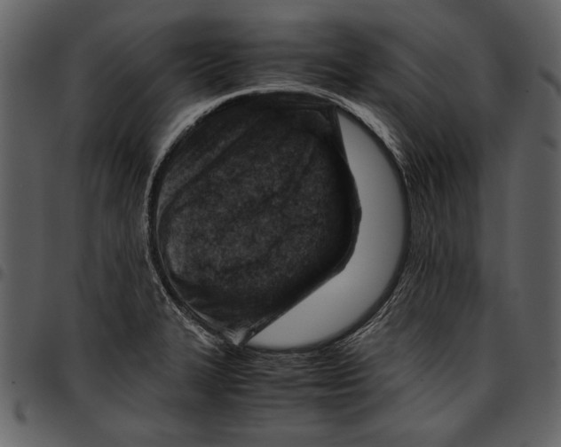 X0000096941327200802291023