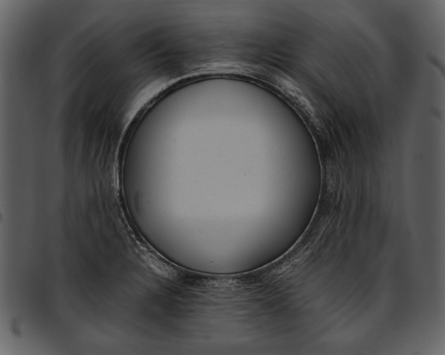 X0000096941328200802291023