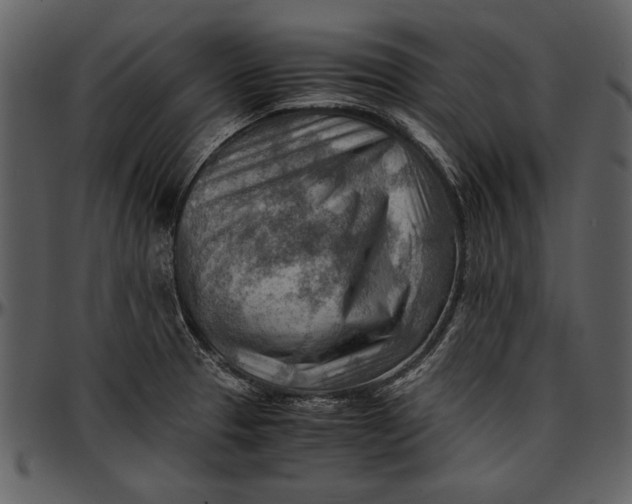 X0000096941329200802291023