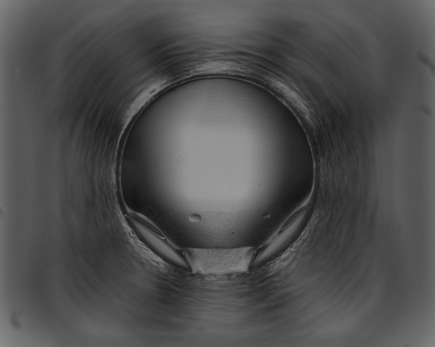 X0000096941330200802291023