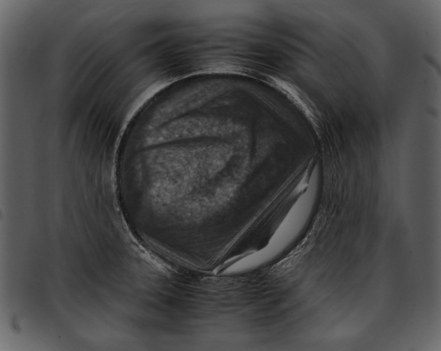 X0000096941331200802291023