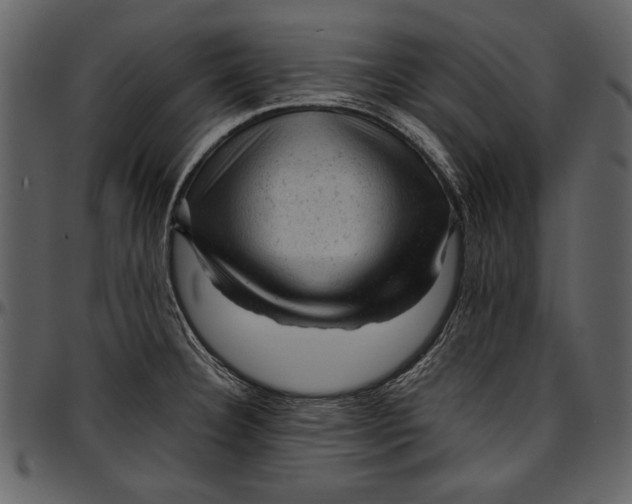 X0000096941332200802291023