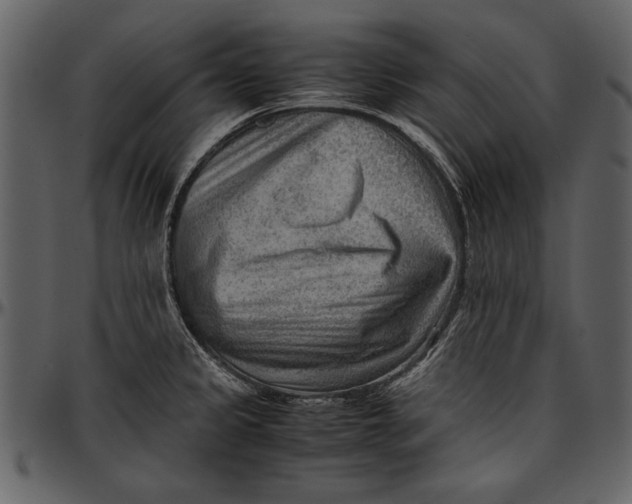 X0000096941333200802291023