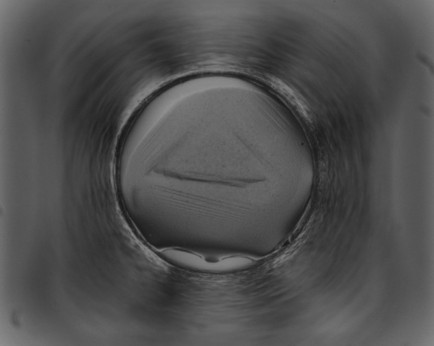 X0000096941334200802291023