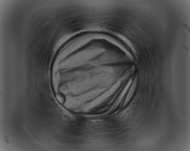 X0000096941335200802291023