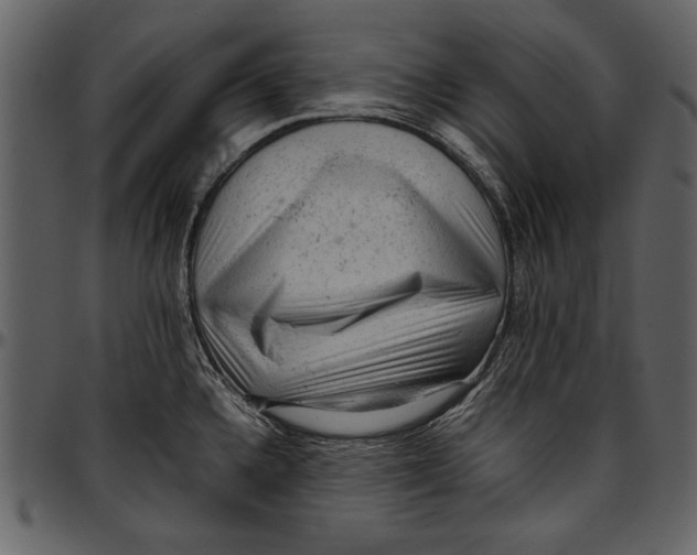 X0000096941336200802291023