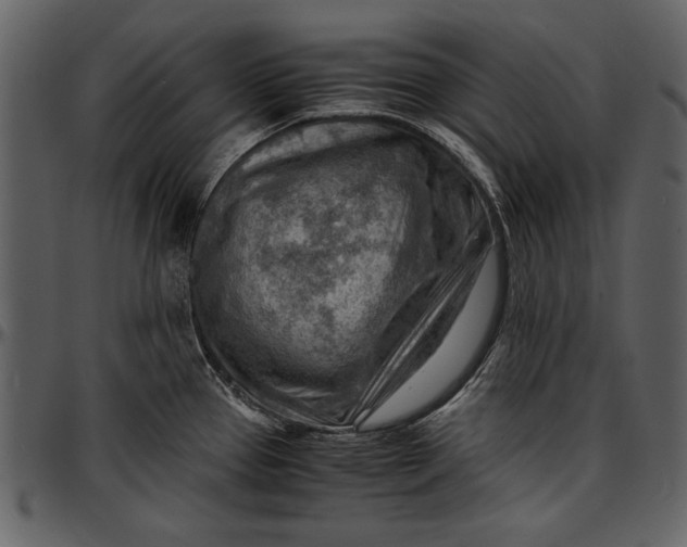 X0000096941337200802291023