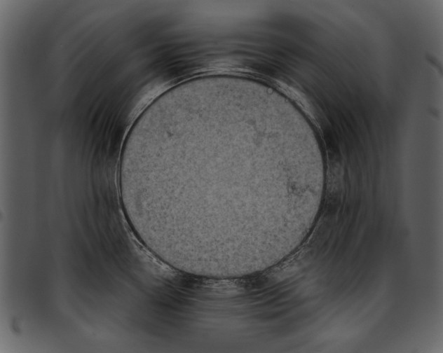 X0000096941338200802291023