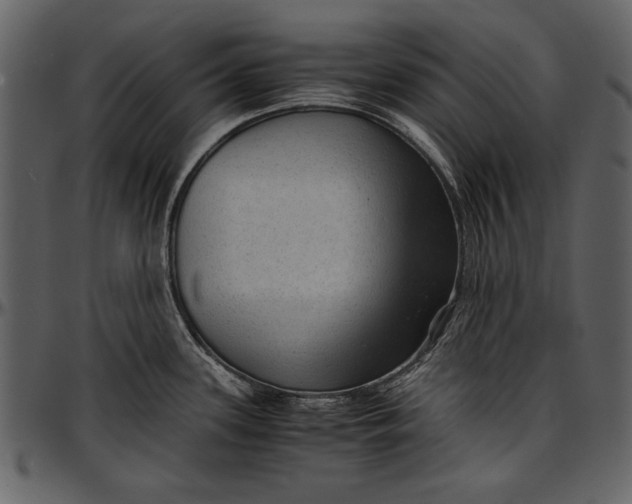 X0000096941339200802291023