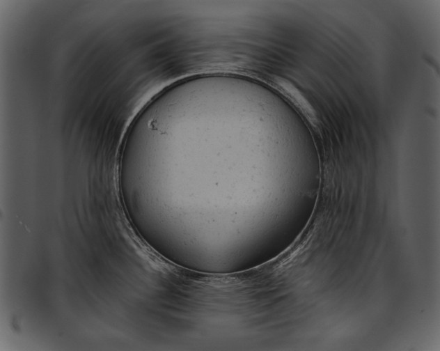 X0000096941340200802291023