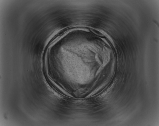 X0000096941341200802291023