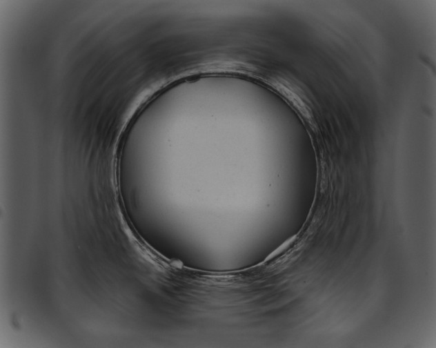 X0000096941342200802291023