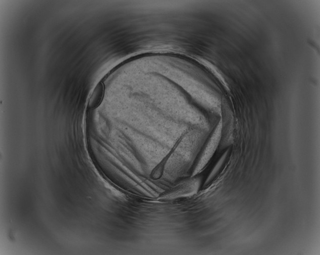 X0000096941343200802291023