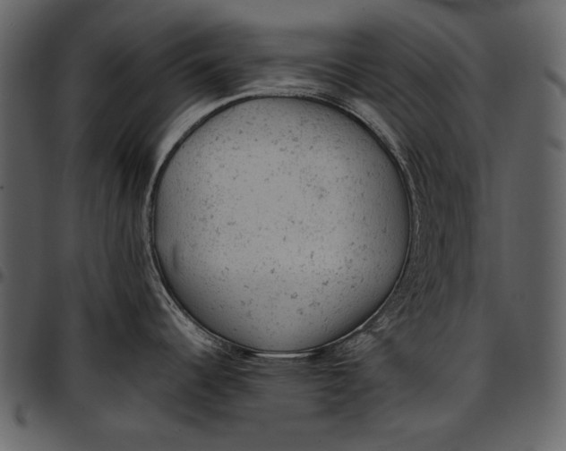 X0000096941344200802291023