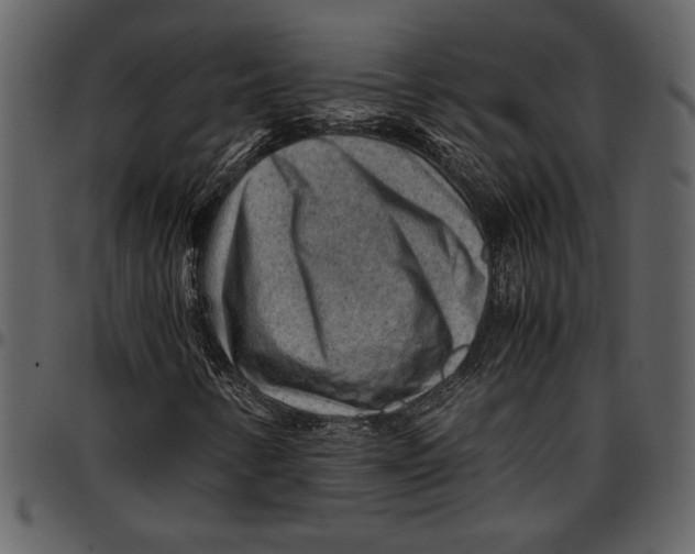 X0000096941346200802291022