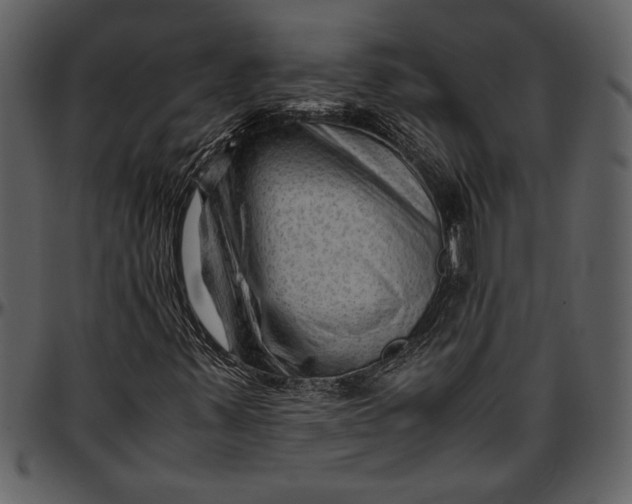 X0000096941347200802291022