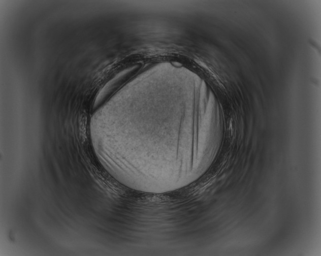 X0000096941348200802291022