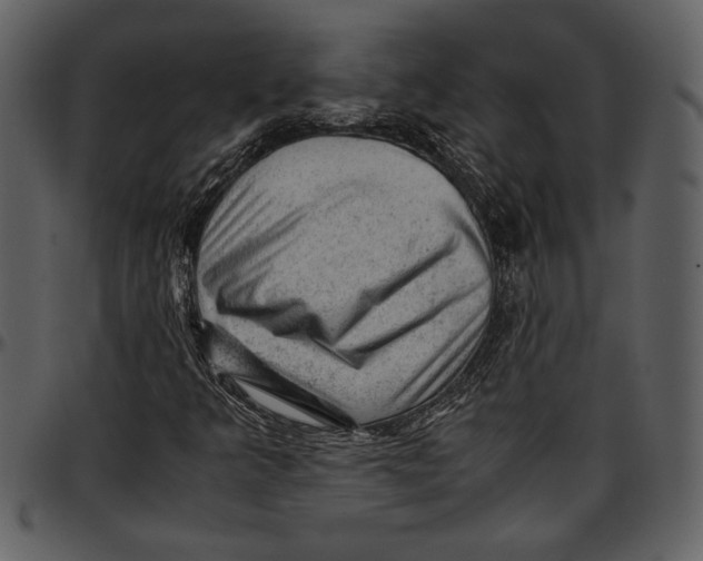 X0000096941349200802291022