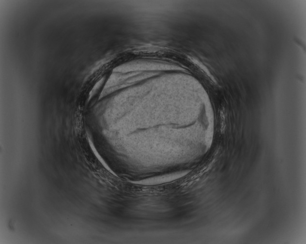 X0000096941350200802291022