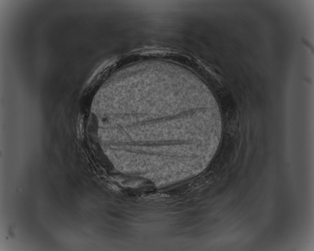 X0000096941351200802291022