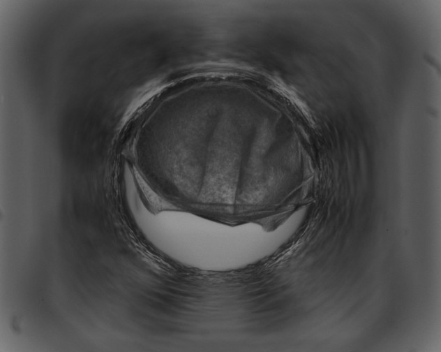 X0000096941352200802291022