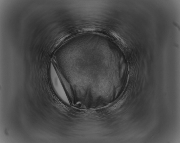 X0000096941353200802291022