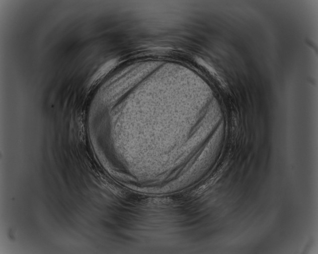 X0000096941354200802291022