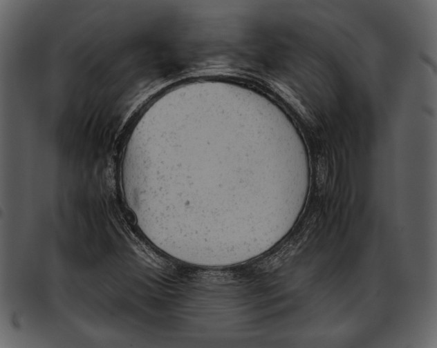 X0000096941356200802291022