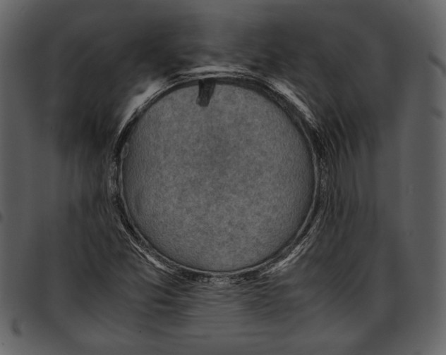 X0000096941357200802291022