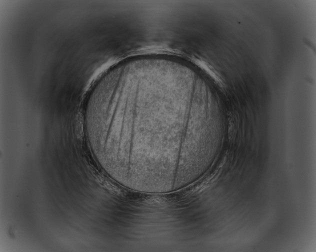 X0000096941358200802291022