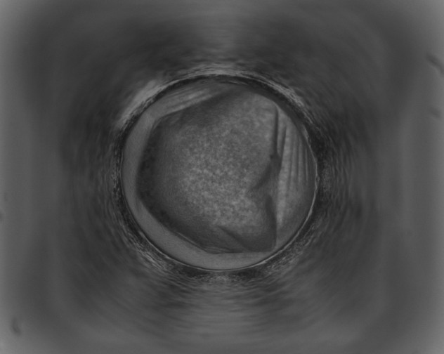 X0000096941359200802291022