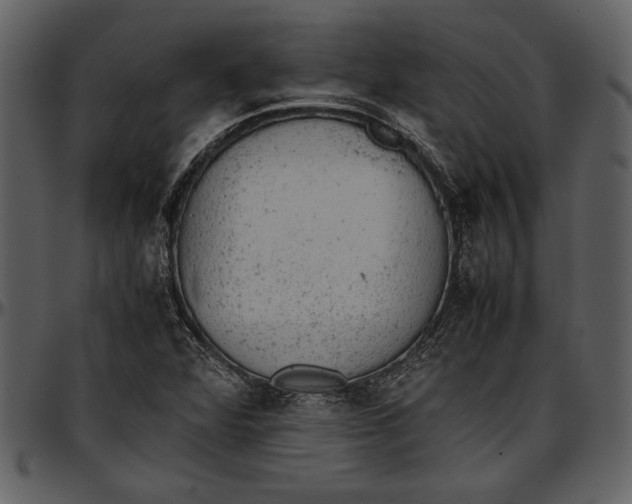 X0000096941360200802291022