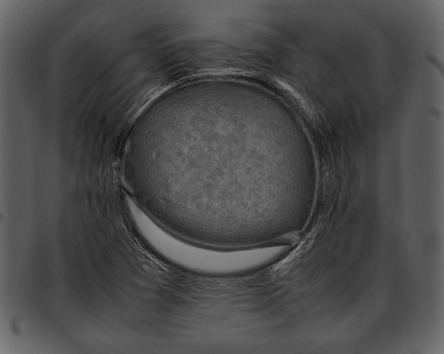 X0000096941361200802291022