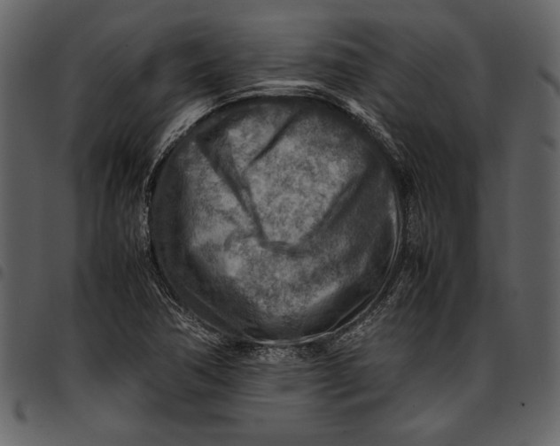 X0000096941362200802291022